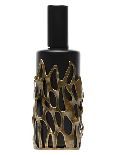 דוגמית בושם גוטי אלכימו ויזן 2 פוקו - Goti