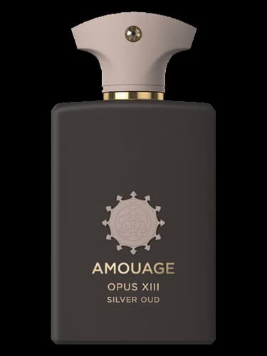 דוגמית בושם Amouage Opus XIII – Silver Oud בנפח 2-10 מ"ל, בקבוקון זכוכית עם מתז - ml-tlv